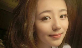 网红与明星手帐,揭秘他们的生活轨迹与创意灵感