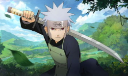 火影h动漫,忍者世界的传奇征程