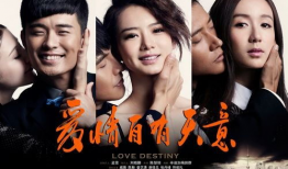 爱情情感电视剧大全集,爱情情感电视剧大全集精彩回顾